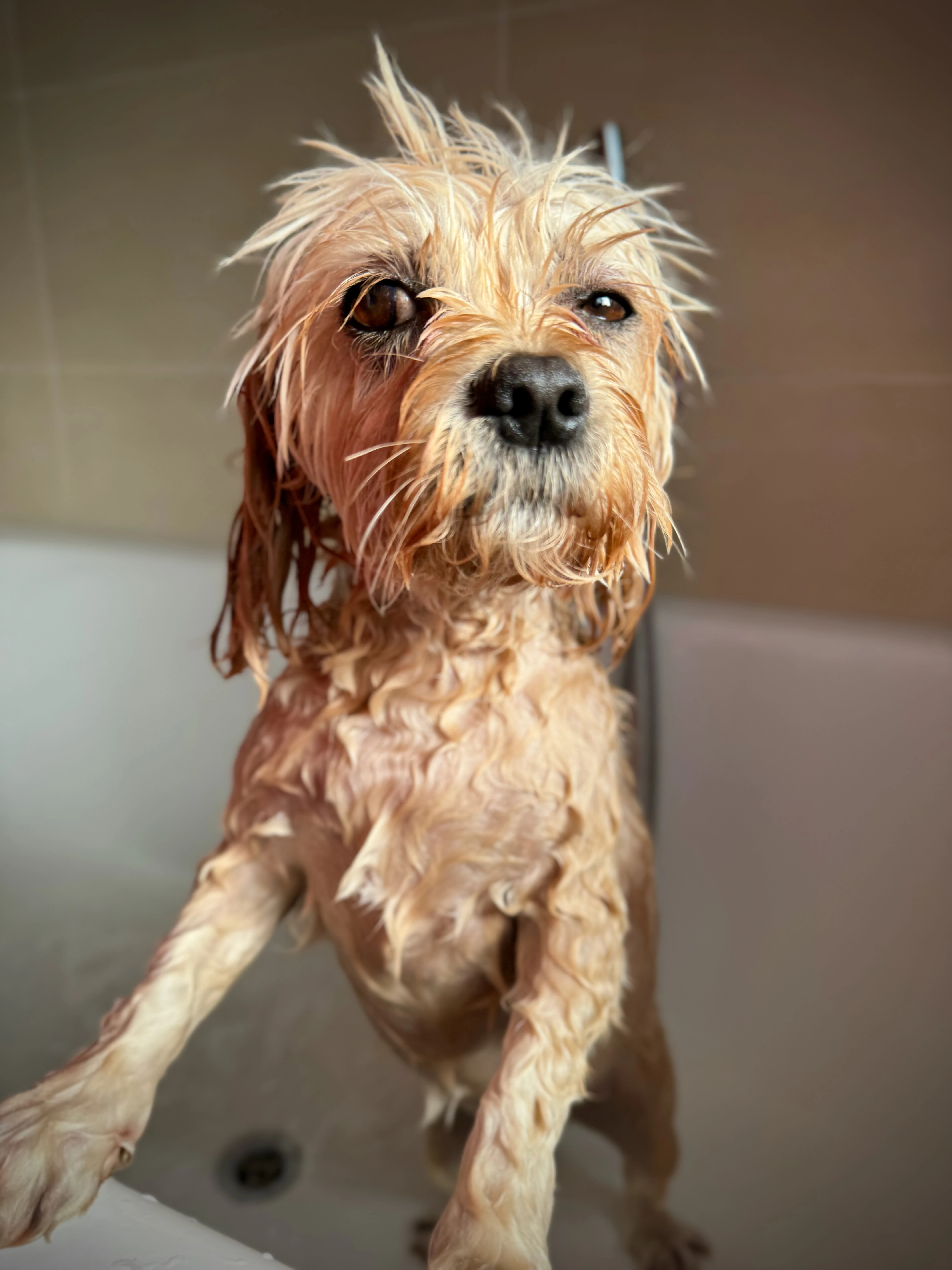 Is this bath truly necessary?!
