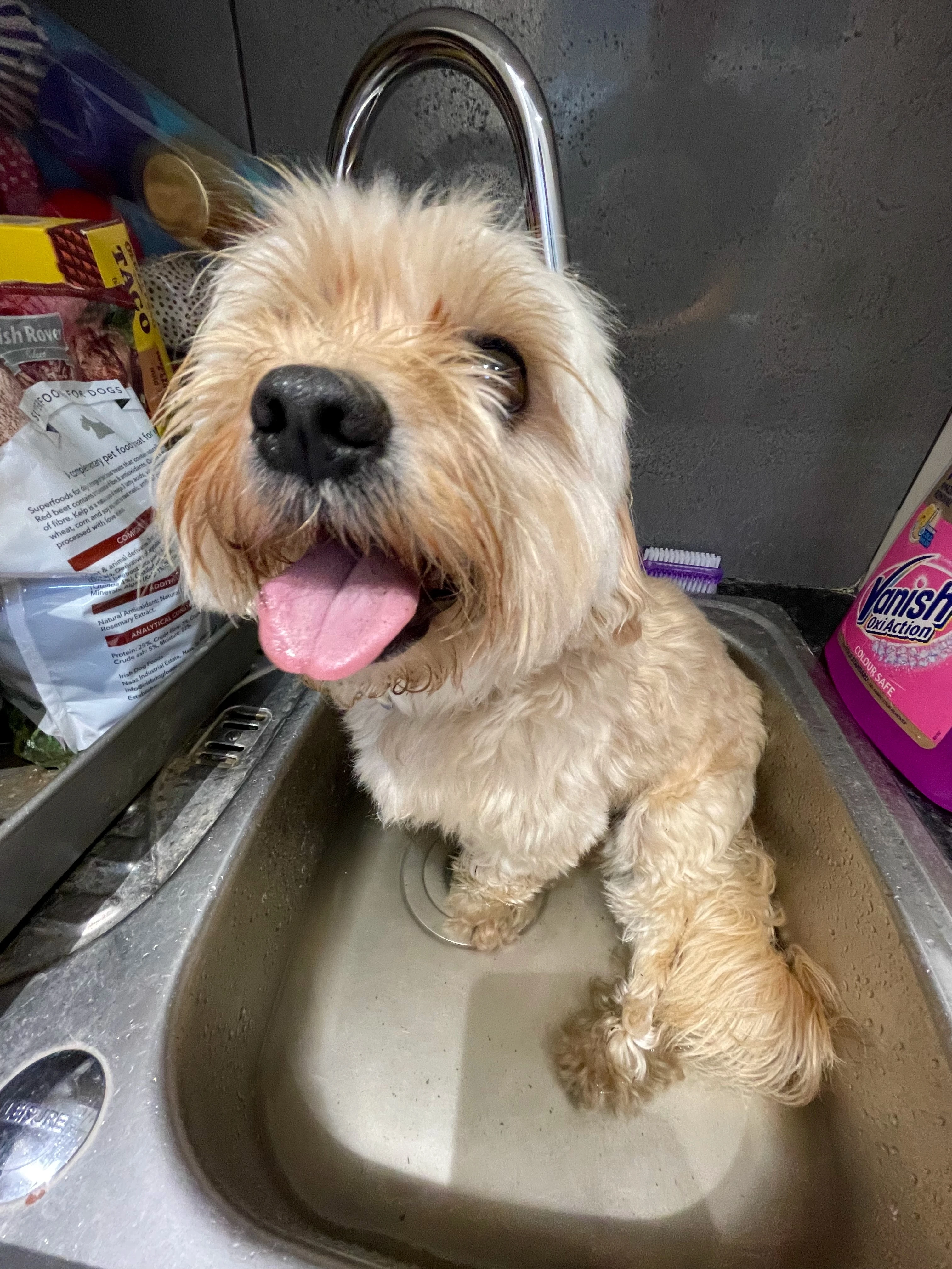 Warm water gets a sit down and happy face!