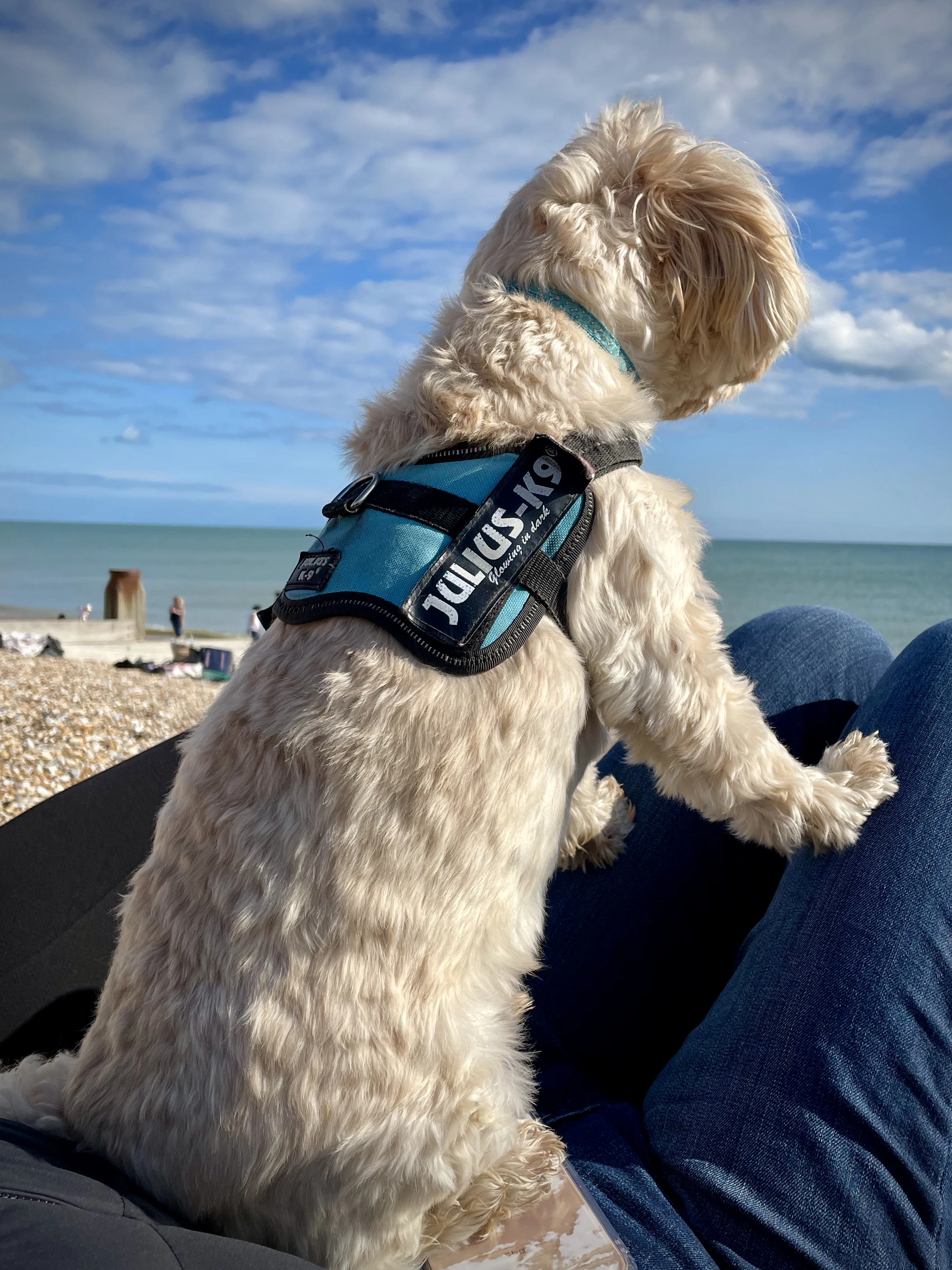 Baci meerkatting...!