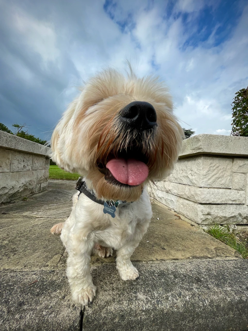 Blue skies, pink tounge!