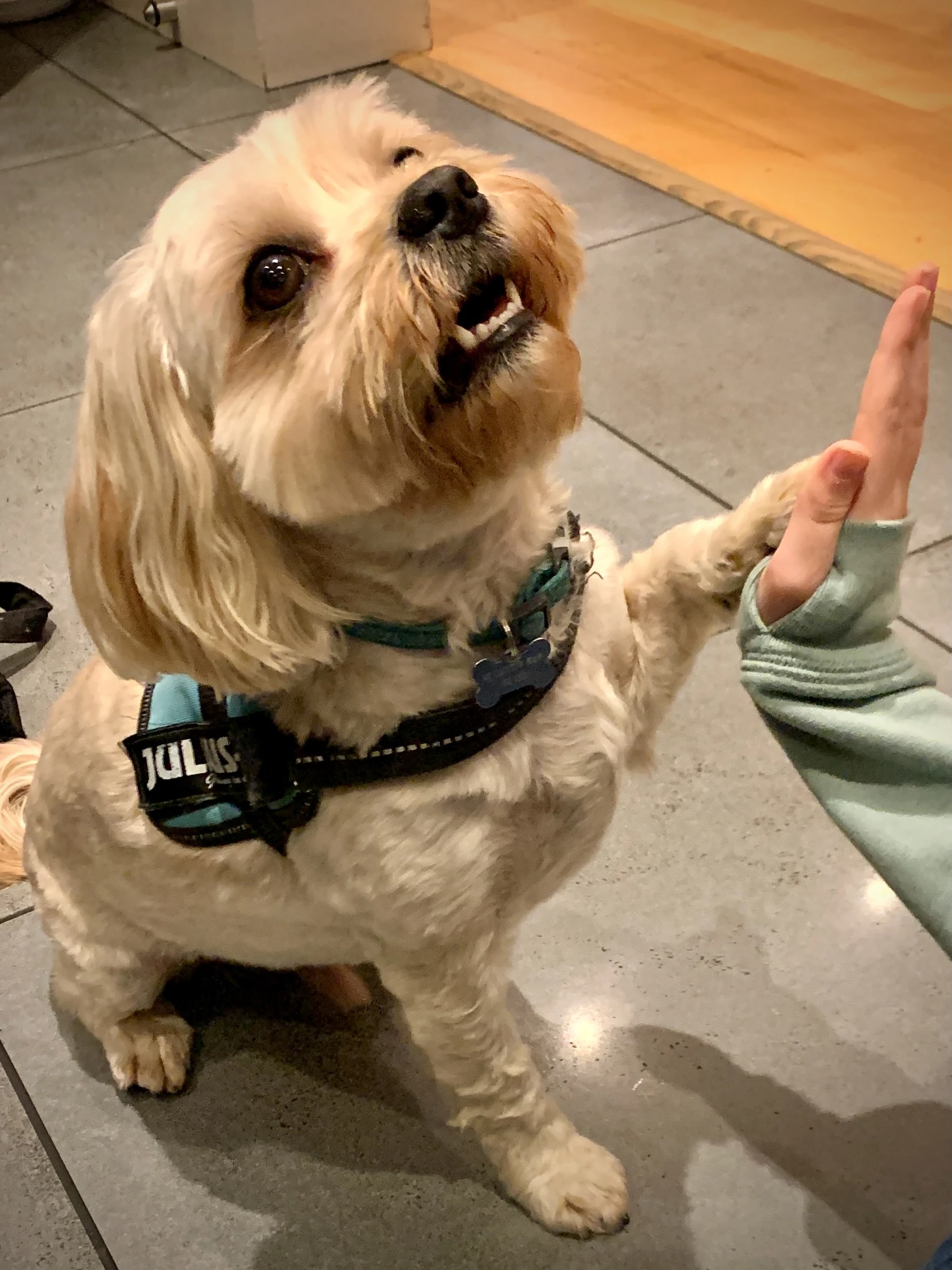 High 5 Sister ✋🏼