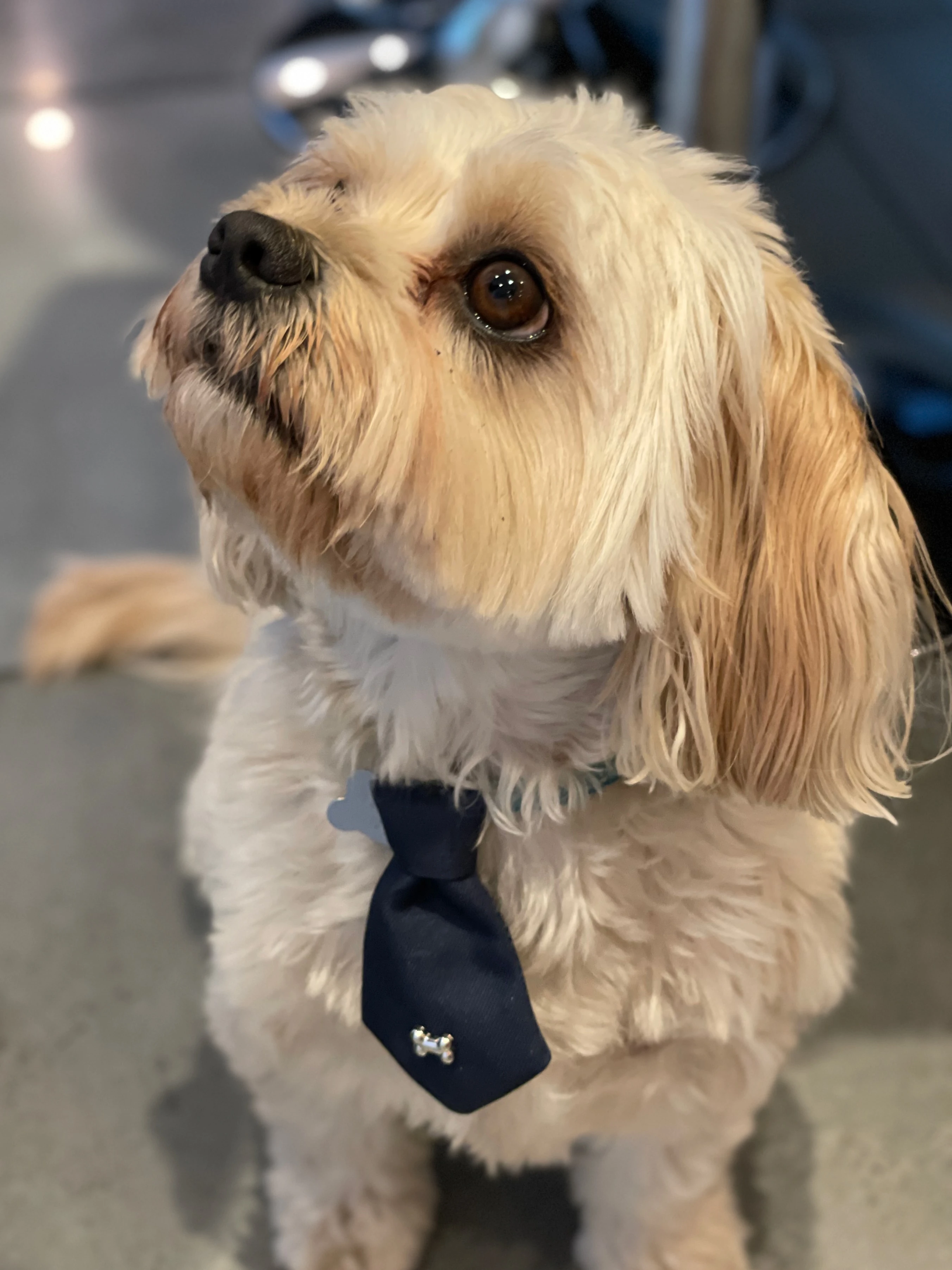 Looking so smart! 👔