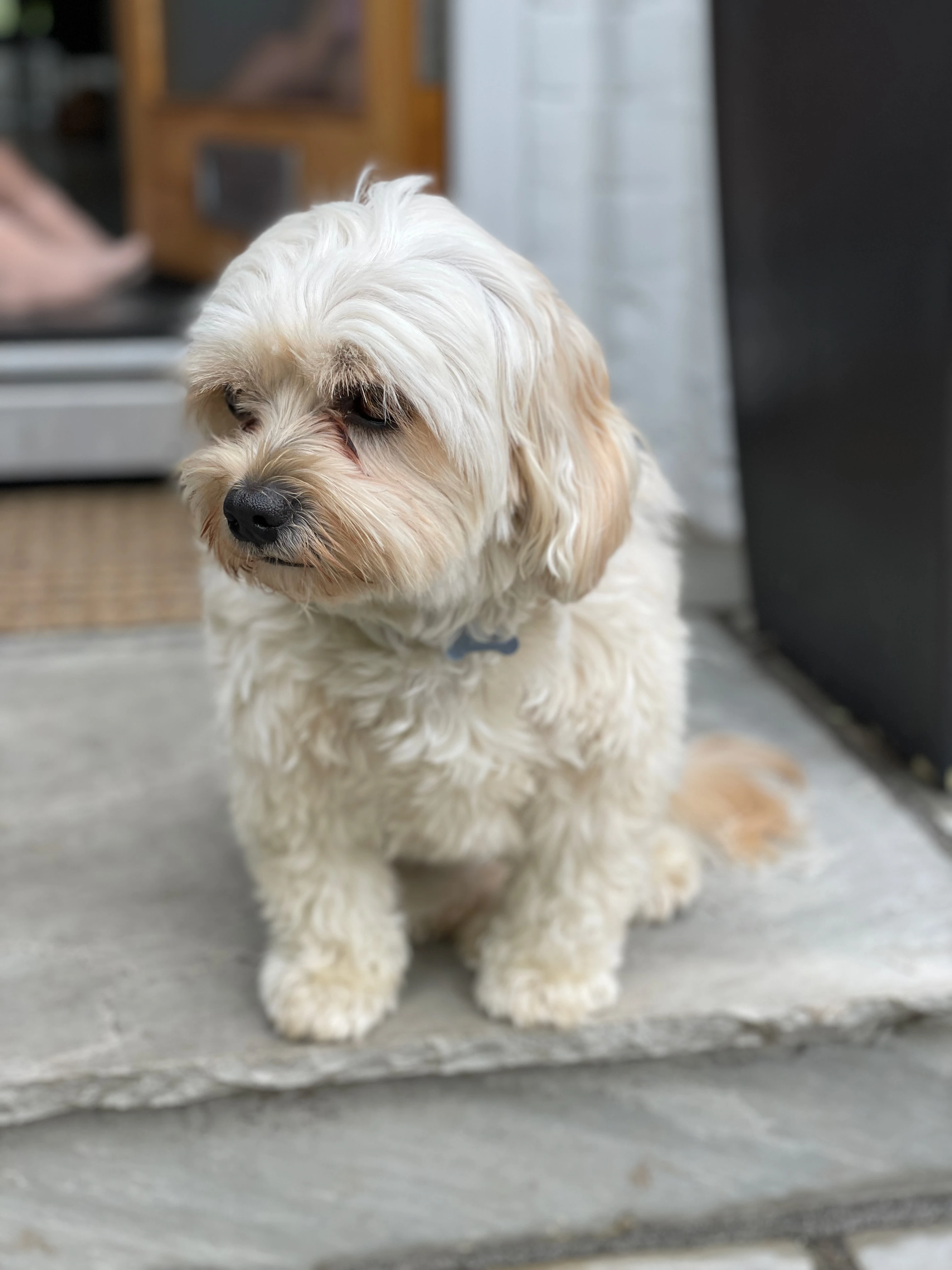 On guard! 💂🏻‍♂️