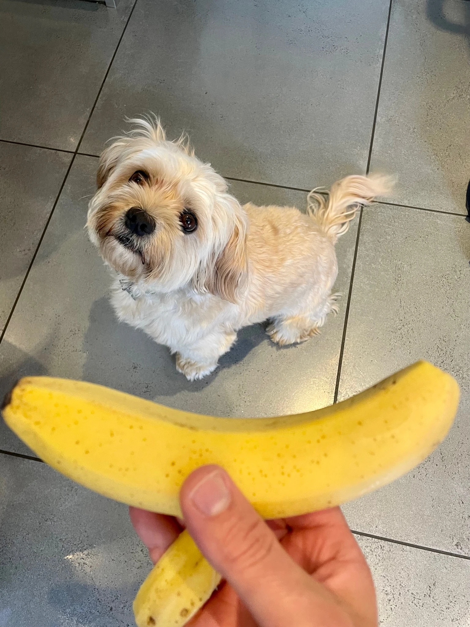 See the similarity?! 🍌