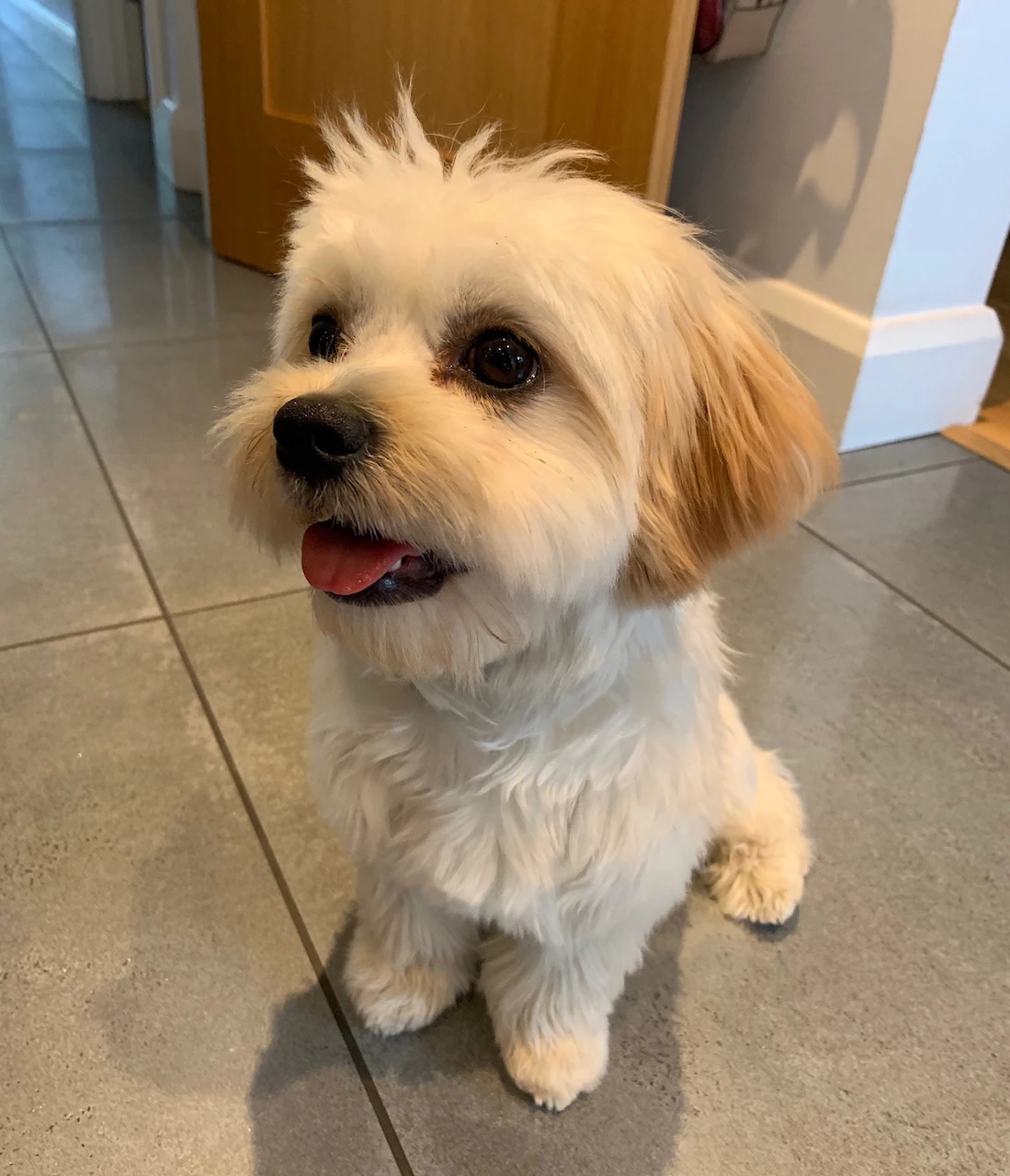 Butter Wouldn't Melt