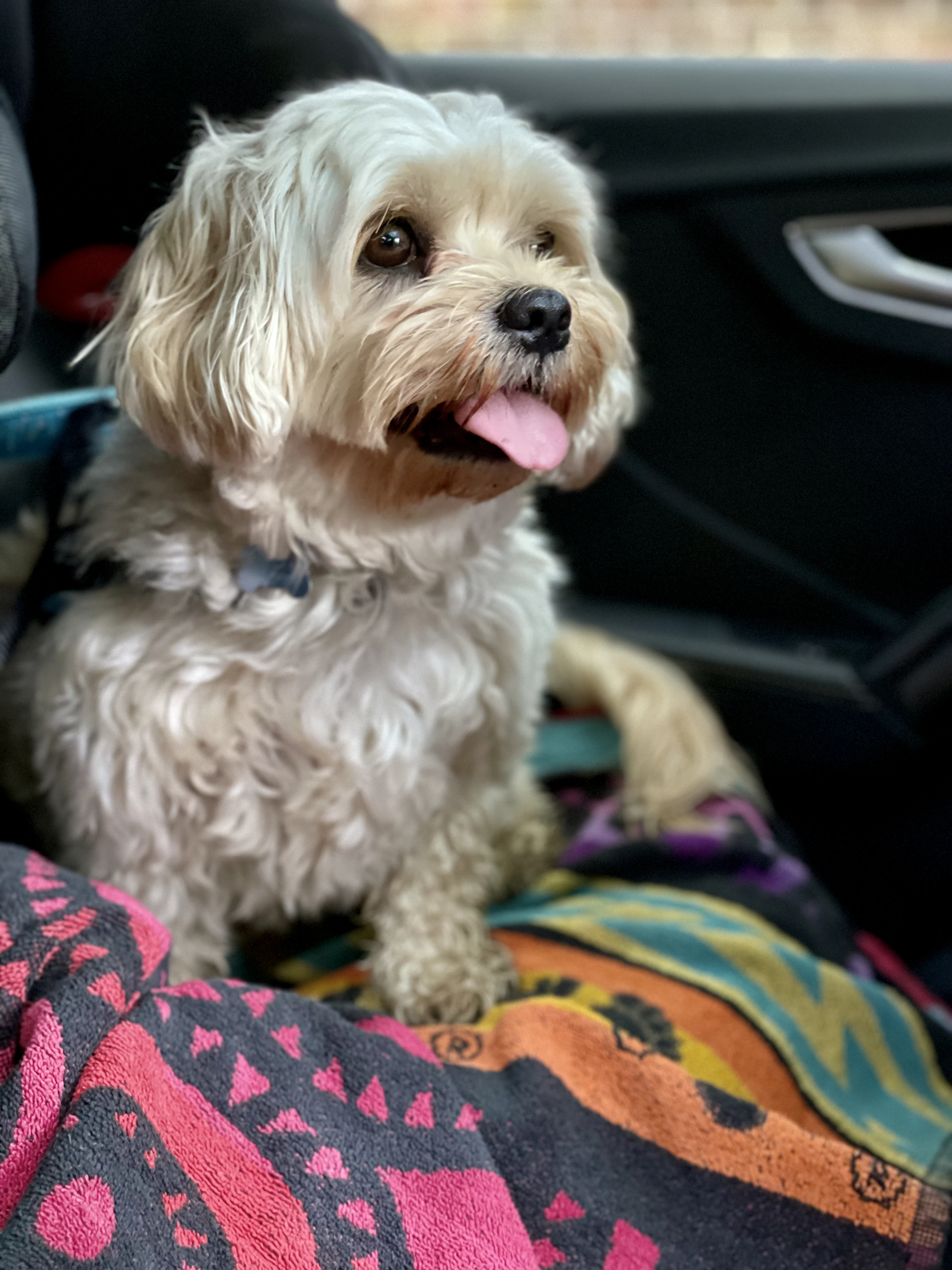 Special spot in the car