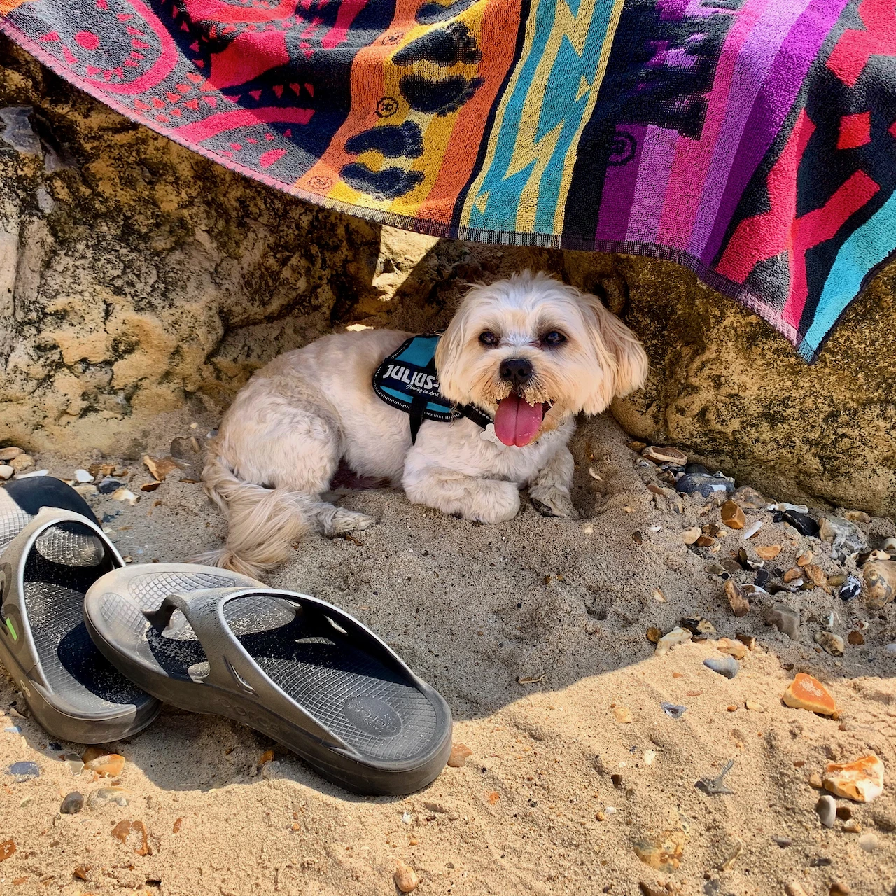 First Beach Experience