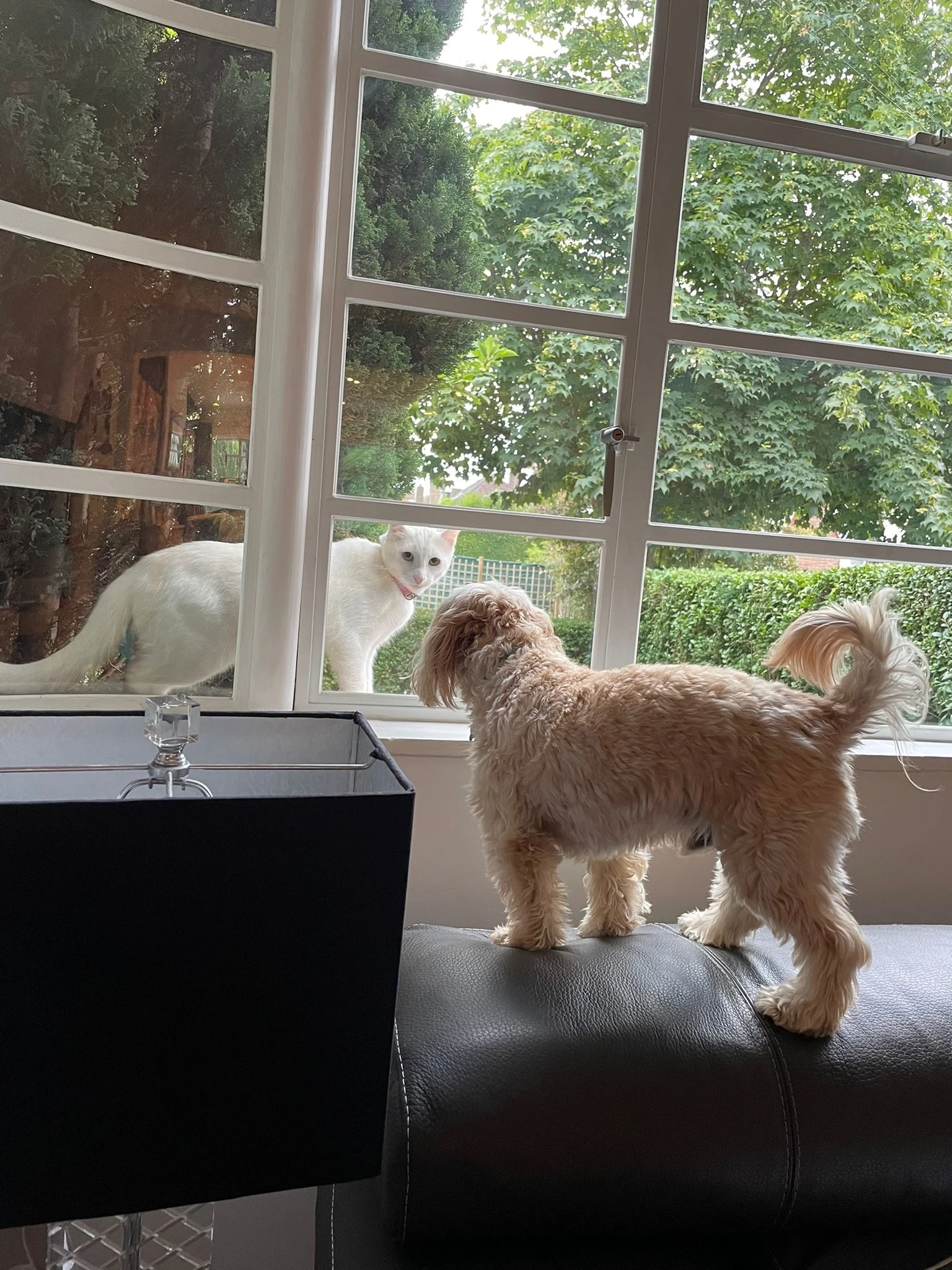 Foes now face to face!